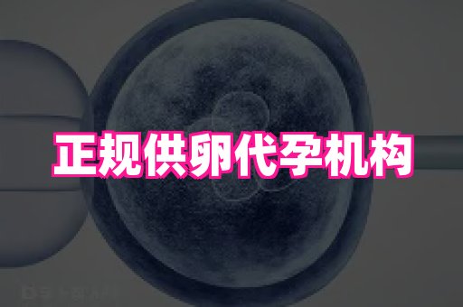 武汉助孕网站 2